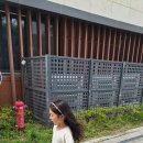 씨씨상점 | 갈만한곳 추천! 국립중앙박물관 극장 용 뮤지컬 <할머니의 여름휴가 : 씨씨상점> 아이고고 관람 후기