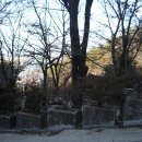 서린사 이미지