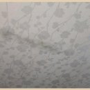 화정천서로6길 | 열화상 카메라로 집 배관 상태 꼼꼼 점검한 후기와 관리 팁