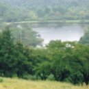 태종목장 이미지