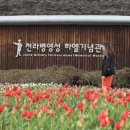 여심(女心) 이미지