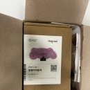 이건사자 | [육아용품]숲소리 교구 내돈내산 후기(달팽이자동차, 우드베어, 사자실꿰기, 영유아블록22P)