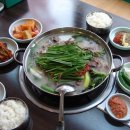 사철영양탕 이미지