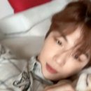 Just Grooming 이미지