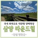 삼양목장 | 국내 최대규모 대관령 양떼목장 삼양라운드힐 다녀온 후기