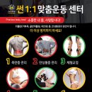 썬 맞춤운동센터 이미지