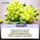 홍주보석 네이버블로그