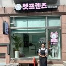 본애견미용실 이미지