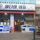 마음은바다회
