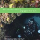 교암다이브리조트 이미지
