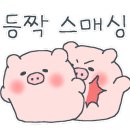 곱돌이 이미지