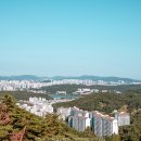 성불사 | 천안절 천안 시내가 한눈에 보이는 성불사