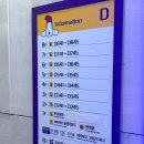 스카이 D동 | 정선 하이원리조트 힐콘도 D동 펫룸 애견동반 페텔 예약