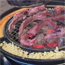 신마포갈매기 이미지