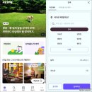 체리애견 | 분당 판교 강아지운동장 단독 애견놀이터 체리마당 포동 멍래블 예약후기