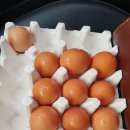 양주시청소년수련원 잔디운동장 이미지