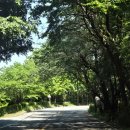 용인충전소 | 용인 애견동반 숙소 추천｜골드펫 리조트 후기 (글램핑·카라반 가능)