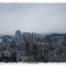 나와바리 이미지
