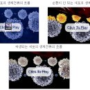 엔라이프 이미지