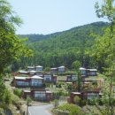 소나무언덕4호 | 전자휴 제암산 자연휴양림