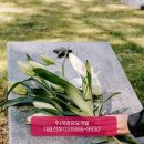 효도장묘