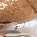 URBAN TREE 39 이미지