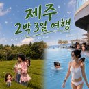 대감농원 | 제주도 2박 3일 여행 / 제주시 소품샵(섬조각), 서귀포 흑돼지 삼겹살 맛집(먹고정 본점), 오설록 티...