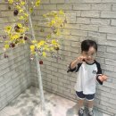 영스오븐