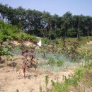 가음농장 이미지