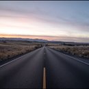 무룡1로L | 네이버 현대카드 혜택 및 네이버페이 적립 후기