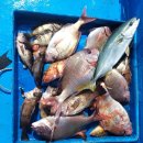 세환쇼핑 이미지