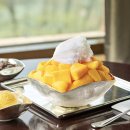 더밤호텔 이미지