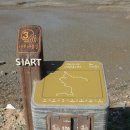 대선로2 이미지