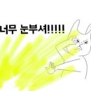 K팝코인노래연습장 이미지