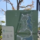 배다리공원남측도로 | 대전가볼만한곳 갑천생태호수공원 다녀온 후기