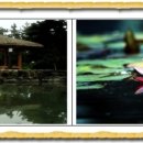 마한문화공원 이미지