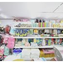 애견갤러리 강아지분양 애견샵 이미지