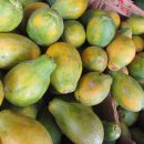 하와이야시장 이미지