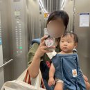 [전주키즈풀] 전주 프라이빗한 감성키즈풀 실내 키즈풀 오니풀