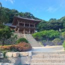활인 소백산 희부종주 이미지