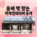 카페봄 이미지