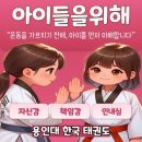 용인대 한국태권도 이미지
