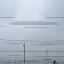 스테이독 | 대부도 애견 동반 펜션"스테이독" 후기!