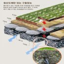 `Netizen Photo News` `2014. 4. 4(금) 이미지