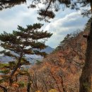 CU 청계산입구역점 이미지