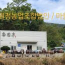 행원정농업조합법인 이미지