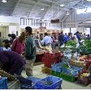 모쿠모쿠 이미지