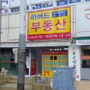 하버드공인중개사사무소 이미지