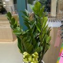 안경존중 종로점 이미지