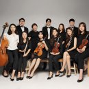 요한 스트라우스 챔버 오케스트라 이미지